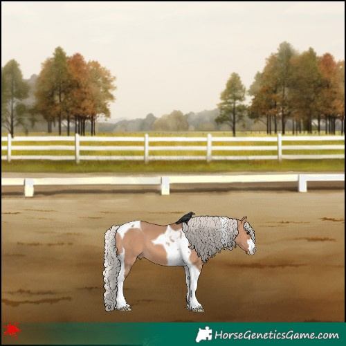 Horse Color:Silver Bay Dun Tobiano