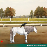Horse Color:Bay Roan Dun Sabino Splash Varnish 