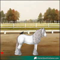 Horse Color:White Spotted Bay Roan Dun Splash Snowcap 
