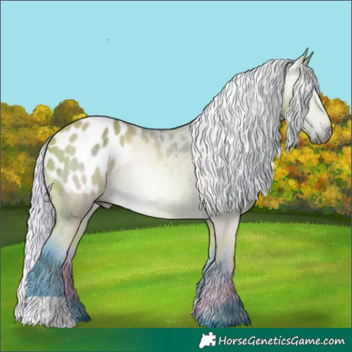 Horse Color:Gray Watercolor Silver Buckskin Blanket 
