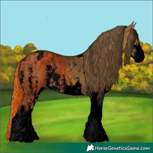 Horse Color:Void Buckskin Sabino Varnish 
