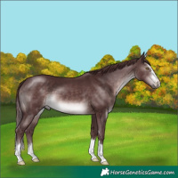 Horse Color:Platinum Chocolate Brown