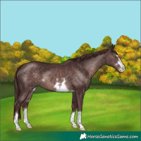 Horse Color:Platinum Chocolate Brown