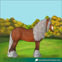 Horse Color:Silver Bay 