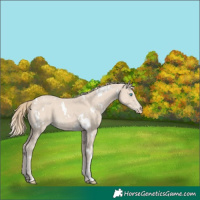 Horse Color:White Spotted Smoky Creme 