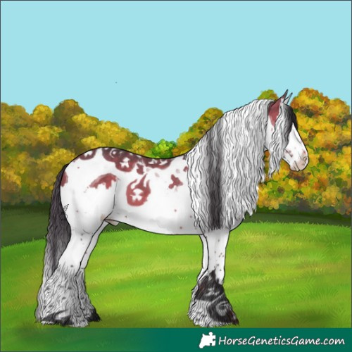 Horse Color:Bay Splash Tobiano 