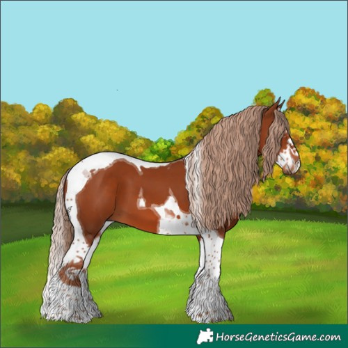 Horse Color:Chestnut Splash Tobiano 