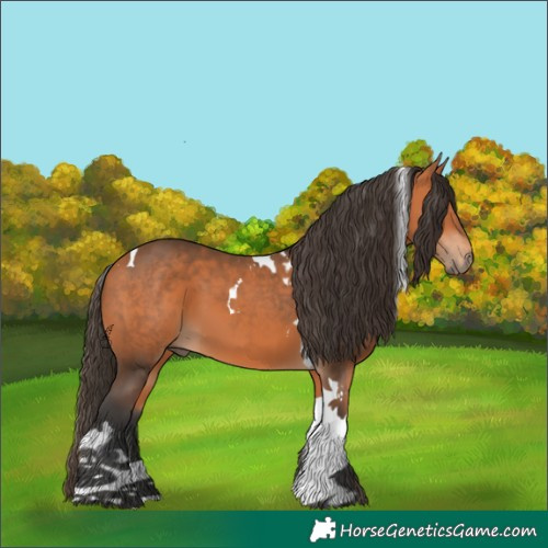 Horse Color:Bay Tobiano 