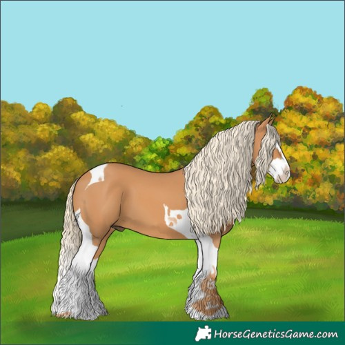 Horse Color:Chestnut Splash Tobiano 