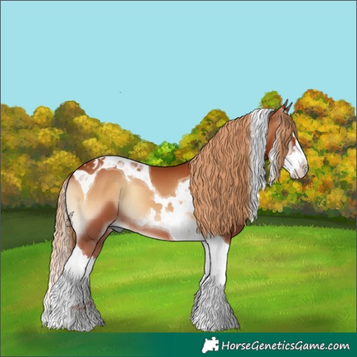 Horse Color:Red Onyx Splash Tobiano 
