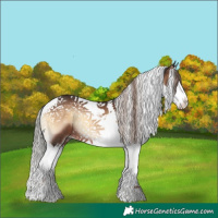 Horse Color:Liver Red Onyx Splash Tobiano 