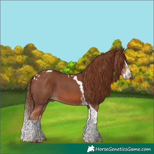 Horse Color:Chestnut Sabino Splash Tobiano 