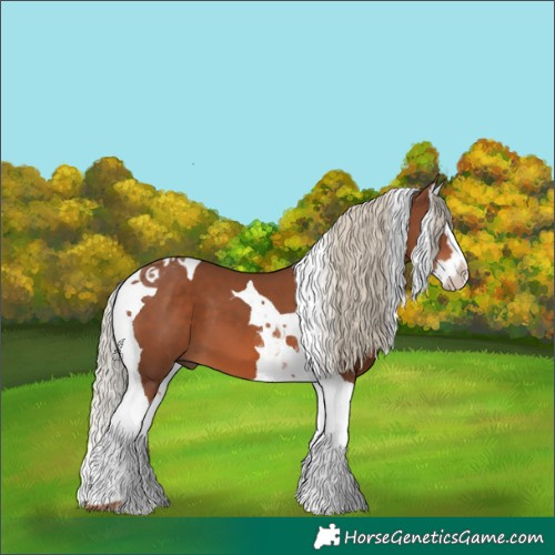 Horse Color:Chestnut Splash Tobiano 
