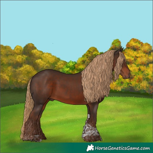 Horse Color:Liver Chestnut Tobiano 