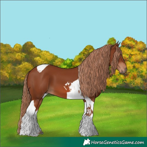 Horse Color:Chestnut Tobiano 