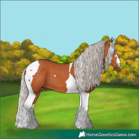 Horse Color:Silver Bay Tobiano 
