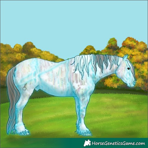 Horse Color:Thunderstruck White Spotted Bay Ice Varnish 