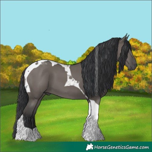 Horse Color:Grullo Tobiano 