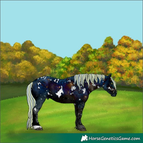 Horse Color:ERROR: UNKNOWN ANOMALY