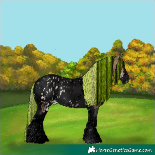 Horse Color:Void Painted White Spotted Silver Blue Onyx Ice Splash Tobiano Appaloosa 