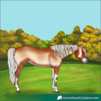 Horse Color:Silver Bay Onyx 