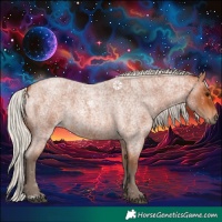 Horse Color:Silver Bay Roan 