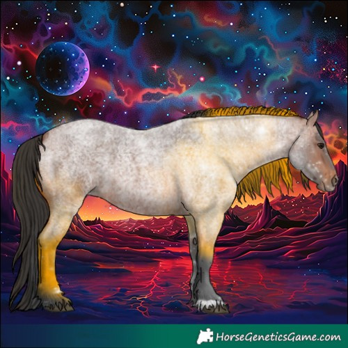 Horse Color:Bay Roan 
