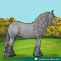 Horse Color:Black Varnish Rabicano 