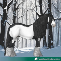 Horse Color:Black Frame