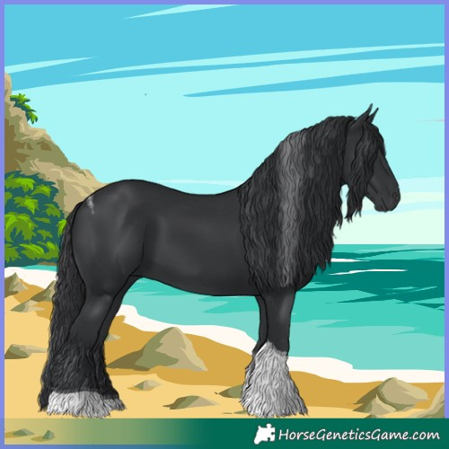 Horse Color:Black Tobiano 