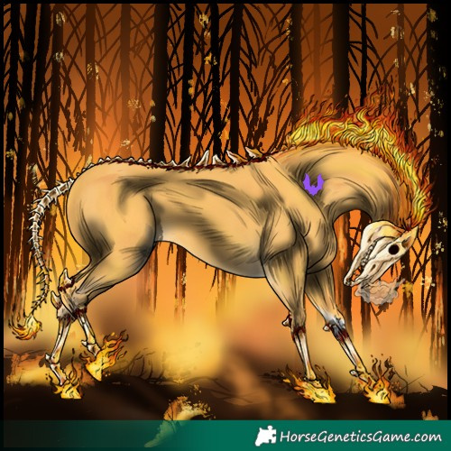 Horse Color:Palomino Tobiano 