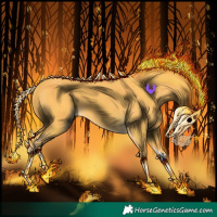 Horse Color:Palomino Tobiano 