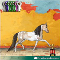 Horse Color:White Spotted Bay Dun Tobiano Rabicano