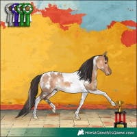 Horse Color:White Spotted Bay Dun Tobiano Rabicano