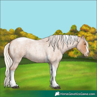 Horse Color:Silver Blue Roan Pearl Tobiano Frame 