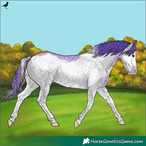Horse Color:Watercolor Brown Ice Onyx Splash Frame 