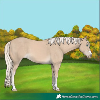 Horse Color:Cremello
