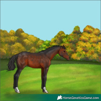 Horse Color:Brown 
