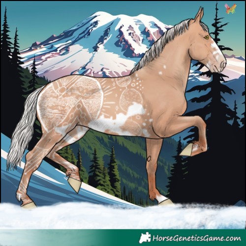 Horse Color:Silver Amber Champagne Frame