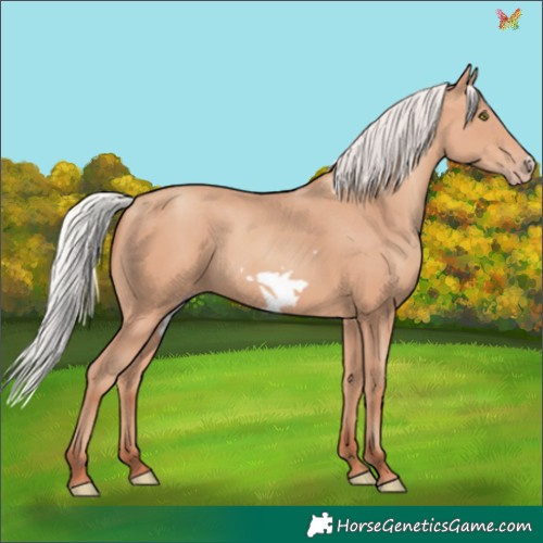 Horse Color:Silver Amber Champagne Frame