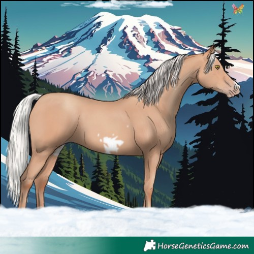 Horse Color:Silver Amber Champagne Frame 