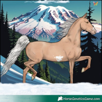 Horse Color:Silver Amber Champagne Frame