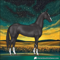 Horse Color:Smoky Black  and Smoky Black 