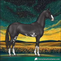Horse Color:Smoky Black  and Smoky Black 
