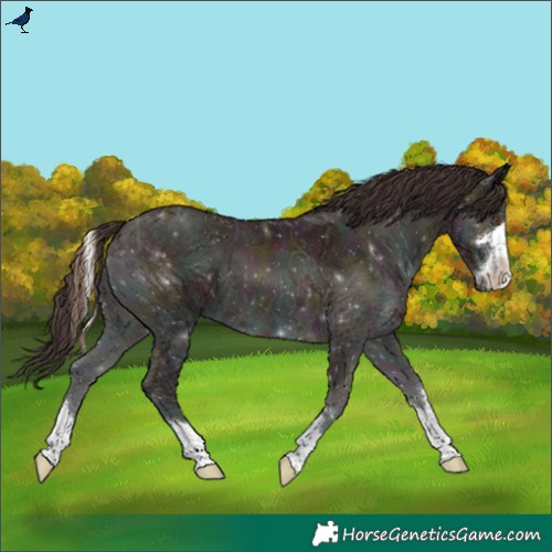 Horse Color:Midnight Sable Champagne Ice Onyx