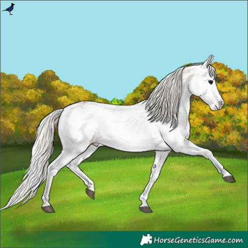 Horse Color:White Spotted Silver Brown Ice Onyx 