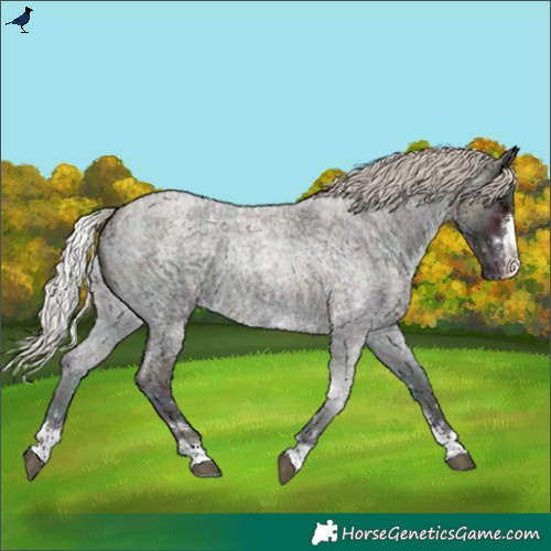 Horse Color:Midnight Silver Brown Ice Roan Onyx