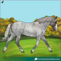 Horse Color:Midnight Silver Brown Ice Roan Onyx