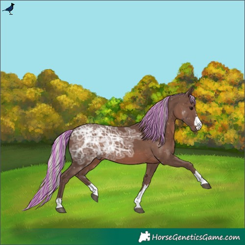 Horse Color:Painted Silver Black Ice 
