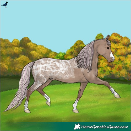 Horse Color:Painted Chocolate Silver Grullo Ice
